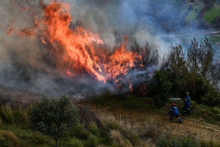 Σε πύρινο κλοιό η χώρα - Συνολικά 40 πυρκαγιές εκδηλώθηκαν το τελευταίο 24ωρο
