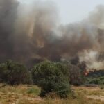Αχαΐα: Πυρκαγιά κοντά στη λίμνη Τσιβλού – «Σηκώθηκε» και ελικόπτερο