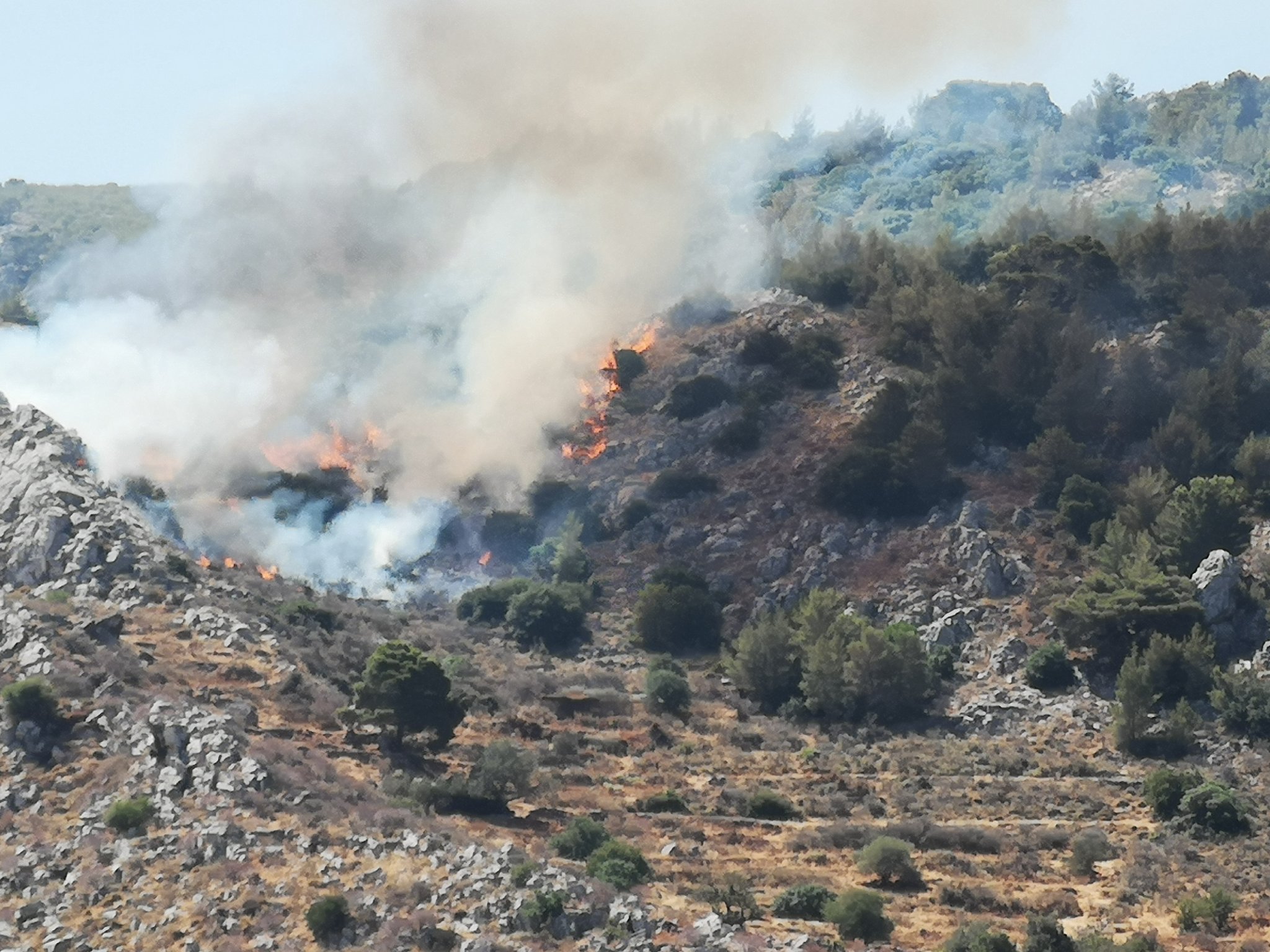 Σε εξέλιξη πυρκαγιά σε δασική έκταση στον Άγιο Κωνσταντίνο Ύδρας (Φωτό)