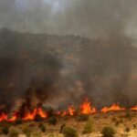 Πυρκαγιά σε χορτολιβαδική έκταση στην Σητεία Κρήτης