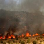 Πυροσβεστική: 37 δασικές πυρκαγιές εκδηλώθηκαν το τελευταίο 24ωρο (27/6/2022)