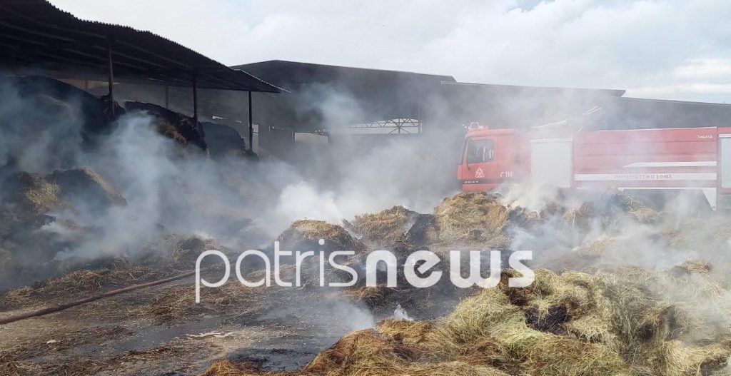 Μεγάλη πυρκαγιά σε στάβλο στο Καρδιακαύτι Ηλείας (Φωτό)