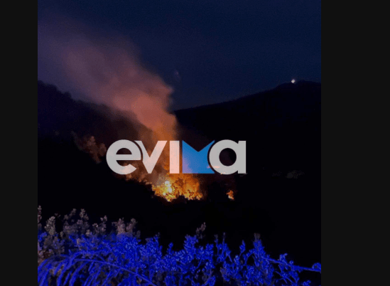 Πυρκαγιά σε δασική έκταση από κεραυνό στην Κύμη Εύβοιας (Φωτό)