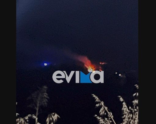Πυρκαγιά σε δασική έκταση από κεραυνό στην Κύμη Εύβοιας (Φωτό)
