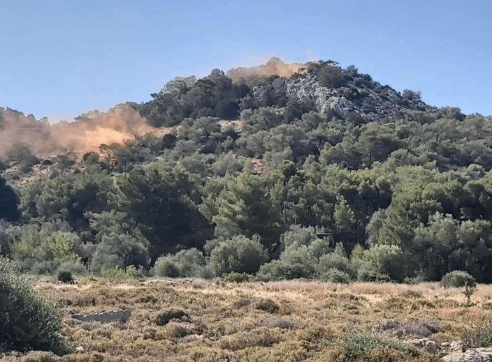 Σαλαμίνα: Ολοκληρώθηκε η άσκηση πεδίου καταστολής πυρκαγιάς