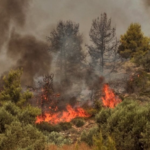 ΚΕΡΚΥΡΑ – δασικη πυρκαγιά στα Κρητικά