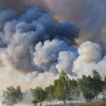Μεγάλη δασική πυρκαγιά στην Ανατολική Γερμανία (Φωτό)