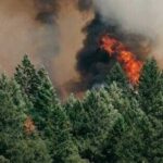 Πυρκαγιά σε δασική περιοχή της Βέροιας – Μεγάλη κινητοποίηση της Πυροσβεστικής