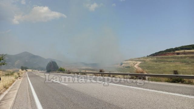 Πυρκαγιά σε ξερόχορτα στην Καμηλόβρυση Λαμίας (Βίντεο)