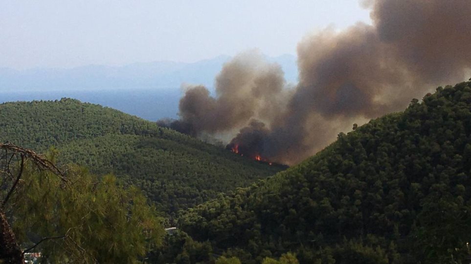 Μεγάλη δασική πυρκαγιά σε εξέλιξη στην περιοχή Σεντούκια Σκοπέλου