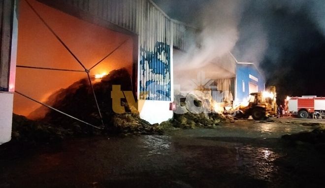 Πυρκαγιά σε εξέλιξη σε αποθήκη ζωοτροφών στην Βοιωτία