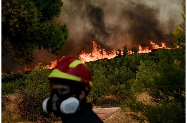 Πυροσβεστική: 51 δασικές πυρκαγιές εκδηλώθηκαν το τελευταίο 24ωρο (24/6/2022)