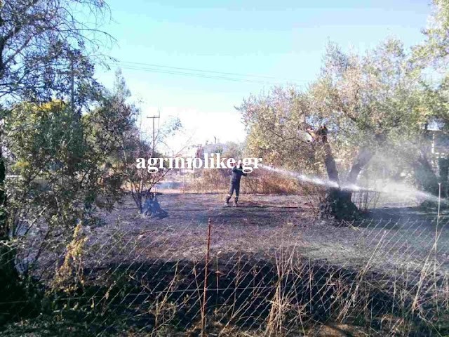 Πυρκαγιά σε λιοστάσια στον οικισμό «Ελευθερία» στο Αγρίνιο (Φωτό)