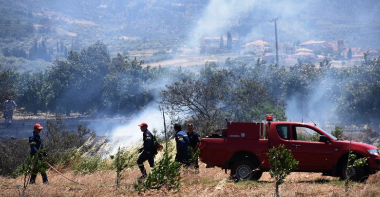Πυρκαγιά σε αθέριστες καλλιέργειες στην Λάρισα