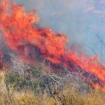 Πυρκαγιά σε δασική έκταση στις Κροκεές Λακωνίας
