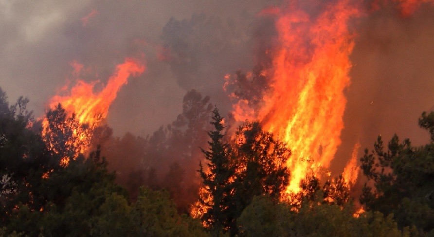 Πυρκαγιά σε εξέλιξη σε χορτολιβαδική έκταση στην Ρόδο