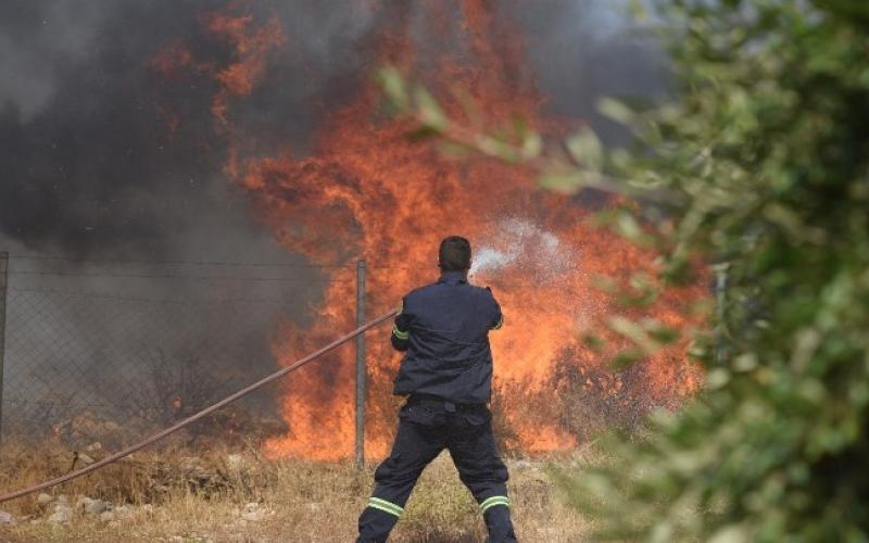Πρόστιμα για τρεις φωτιές στo νομό Λάρισας