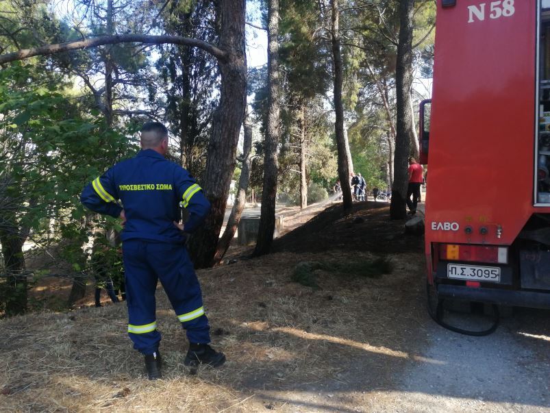 Πυρκαγιά στο δασάκι του Προφήτη Ηλία στην Λέσβο (Φωτό)