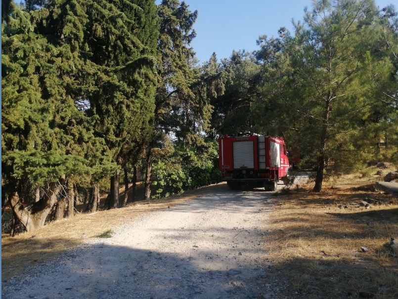 Πυρκαγιά στο δασάκι του Προφήτη Ηλία στην Λέσβο (Φωτό)
