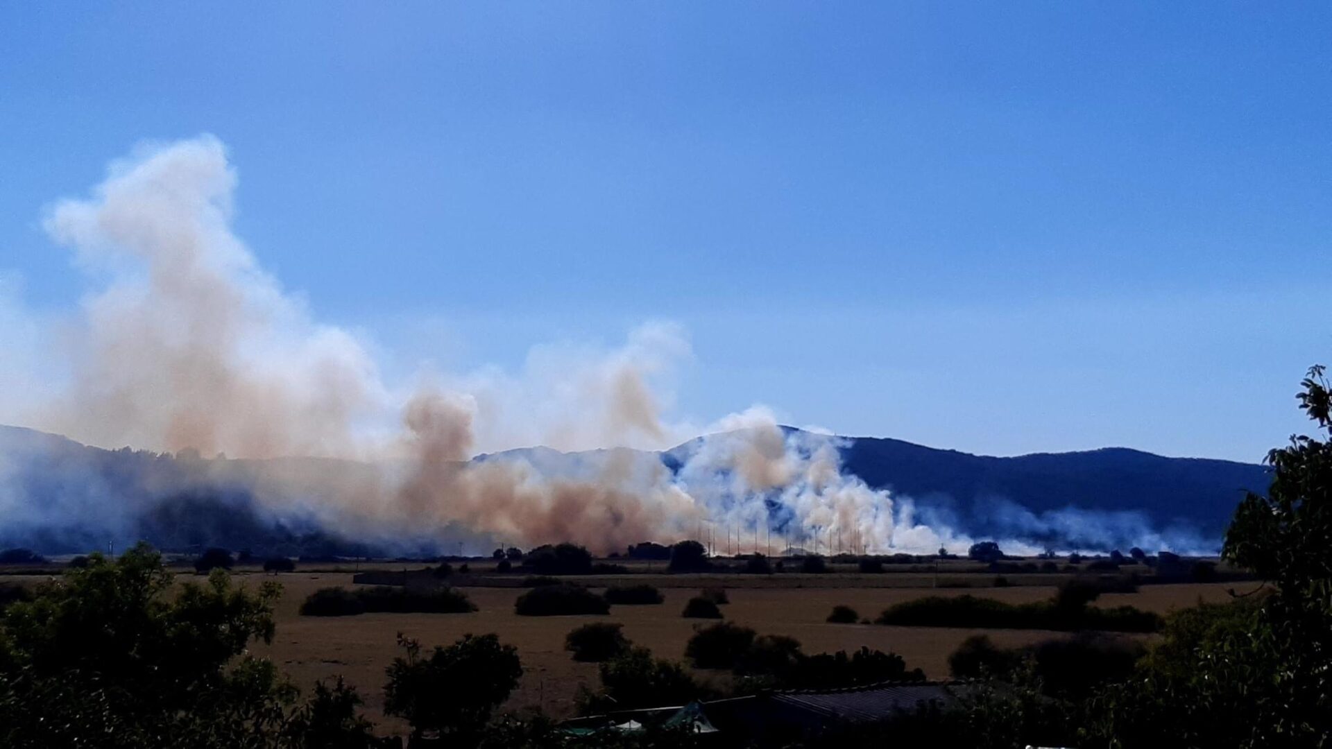 Πυρκαγιά σε χορτολιβαδική έκταση στο λιβάδι του Ρόπα στην Κέρκυρα (Φωτό)