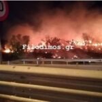 Αχαΐα: Συναγερμός για πυρκαγιά στη Ροδοδάφνη Αιγίου (Φωτό)