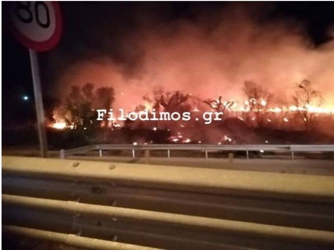 Αχαΐα: Συναγερμός για πυρκαγιά στη Ροδοδάφνη Αιγίου (Φωτό)