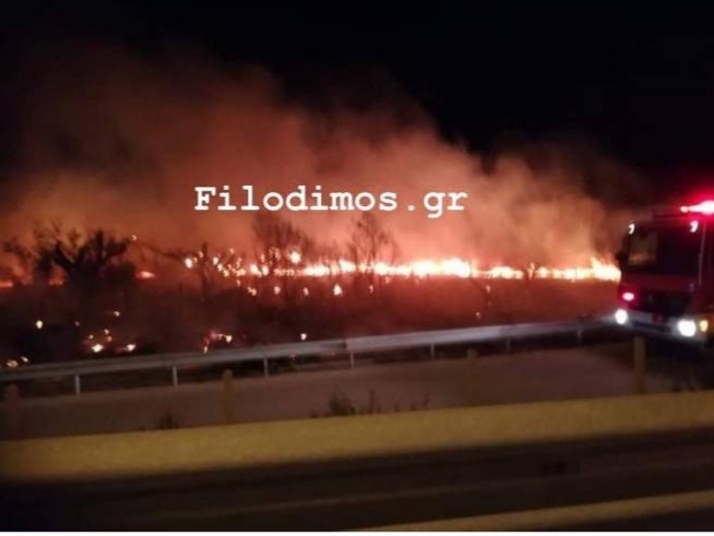 Αχαΐα: Συναγερμός για πυρκαγιά στη Ροδοδάφνη Αιγίου (Φωτό)