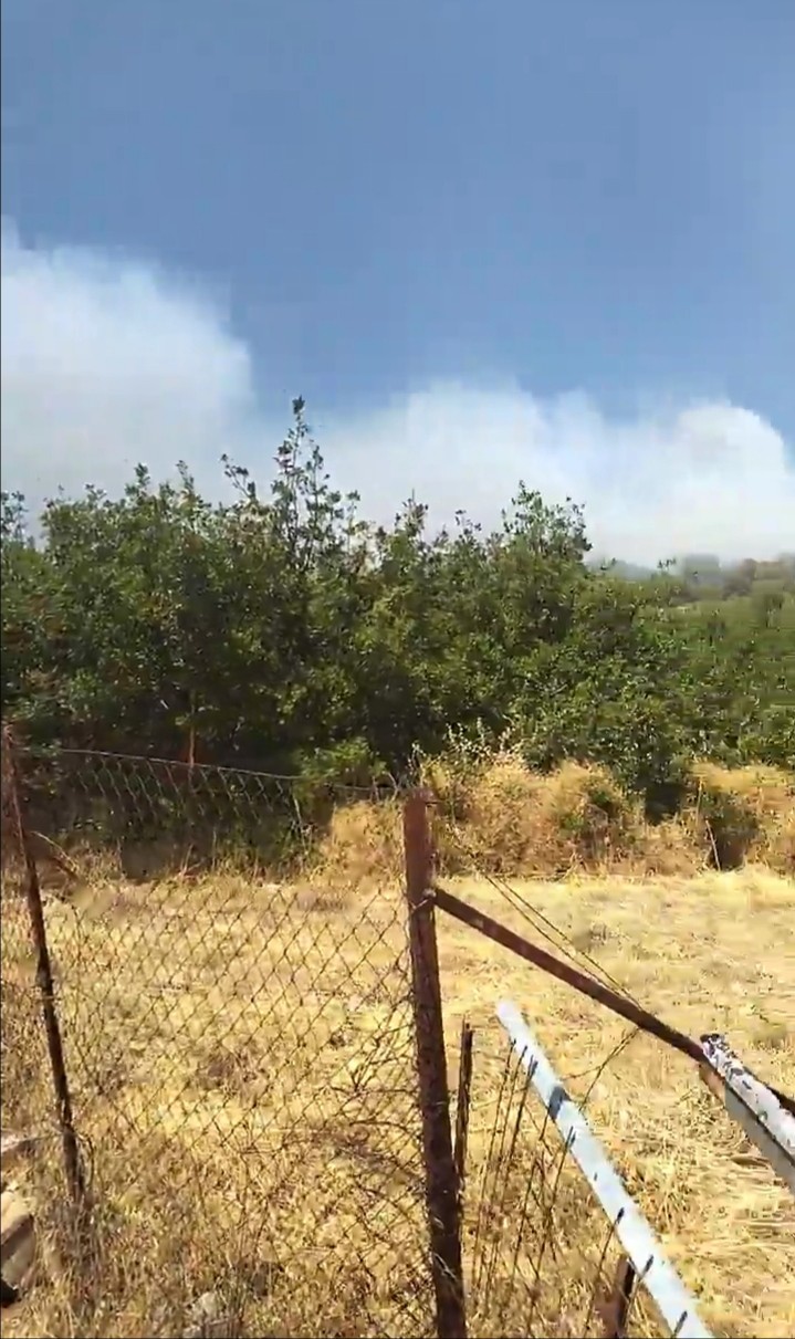 Πυρκαγιά σε χαμηλή βλάστηση στη Ζωφριά στα Άνω Λιόσια.