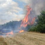 Πυρκαγιά σε χορτολιβαδική έκταση στην περιοχή Γιαννούζι Αγρινίου (Φωτό)