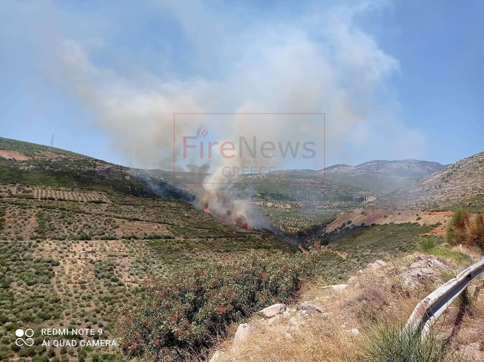 Δασική πυρκαγιά σε εξέλιξη στο Δίστομο Βοιωτίας (Φωτό)