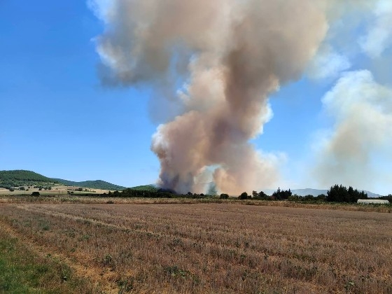 Μεγάλη πυρκαγιά σε δασική έκταση στην περιοχή Αρίστηνο Έβρου (Φωτό)