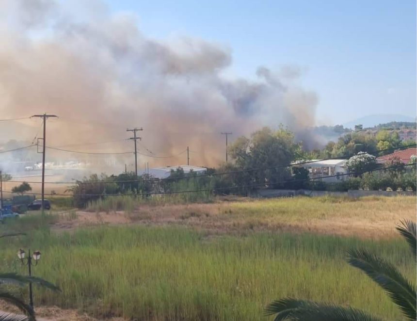 Πυρκαγιά σε χαμηλή βλάστηση στο Καλαμάκι Ζακύνθου