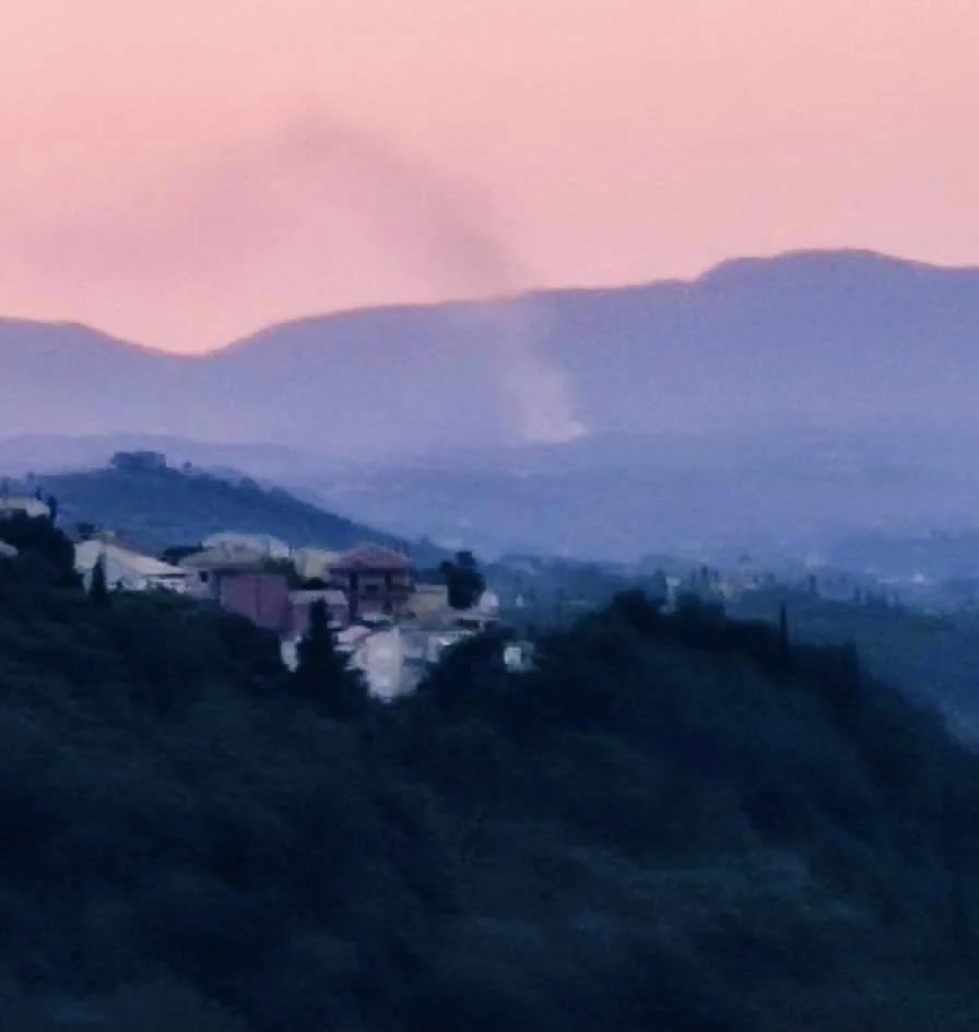 Πυρκαγιά σε γεωργική έκταση στην Εθνική Παλαιοκαστριτσας στην Κέρκυρα (Φωτό)