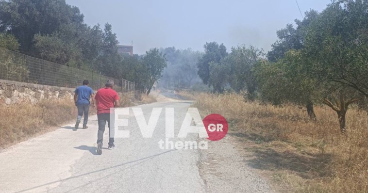 Εύβοια: Δυο πυρκαγιές κοντά στο Αλιβέρι