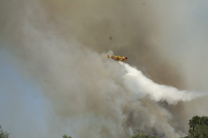 Σε επιχειρησιακή ετοιμότητα η Πυροσβεστική για τη Δευτέρα - Δεν ανάβουμε φωτιά για κανέναν λόγο!