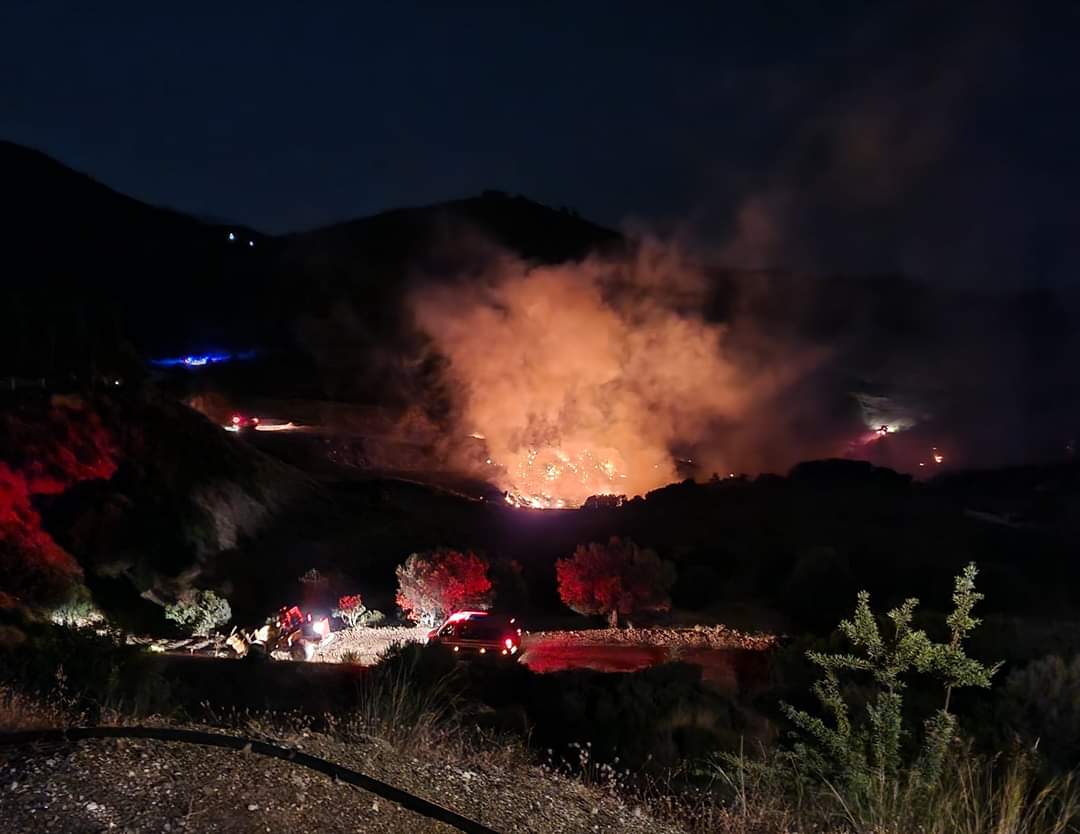 Υπό έλεγχο η πυρκαγιά δασική έκταση στην Φλόκα Αχαΐας (Φωτό)