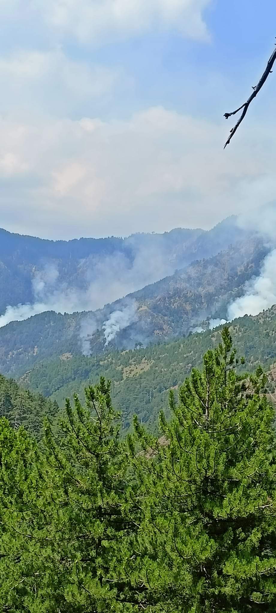 Σε εξέλιξη παραμένει η πυρκαγιά στη Βάλια Κάλντα