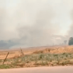 Πυρκαγιά στο Σχηματάρι: Εντολή εκκένωσης σε οικισμό στο Δήλεσι (Βίντεο)
