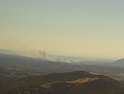 Πυρκαγιά στην Ηλεία: Αναζωπυρώθηκε το μέτωπο στη Βάλμη (Φωτό)