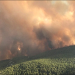 Πυροσβεστική: 52 δασικές πυρκαγιές εκδηλώθηκαν το τελευταίο 24ωρο (04/7/2022)