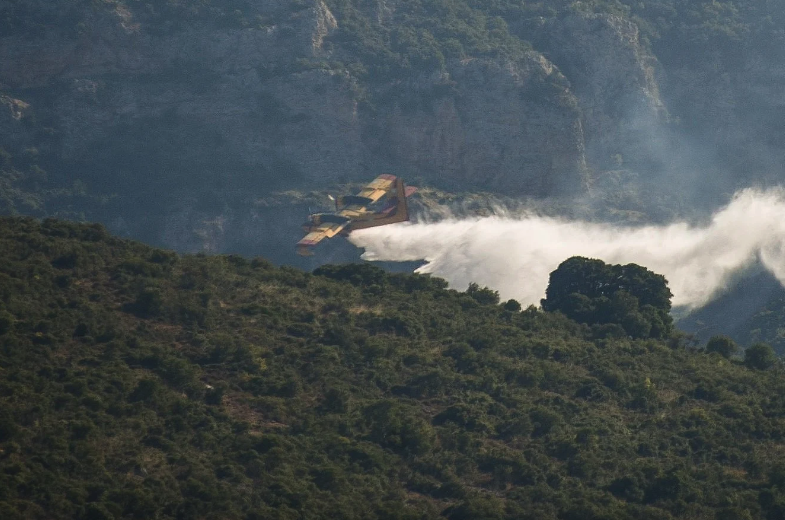 Οριοθετήθηκε η πυρκαγιά στην περιοχή Ακρωτήριο Αράπης στο Άγιον Όρος