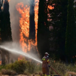 Πυρκαγιά σε γεωργική έκταση στον Άγιο Γεώργιο Βοιωτίας
