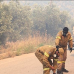 Συμβάντα ημέρας από το Πυροσβεστικό Σώμα (05/07/22)