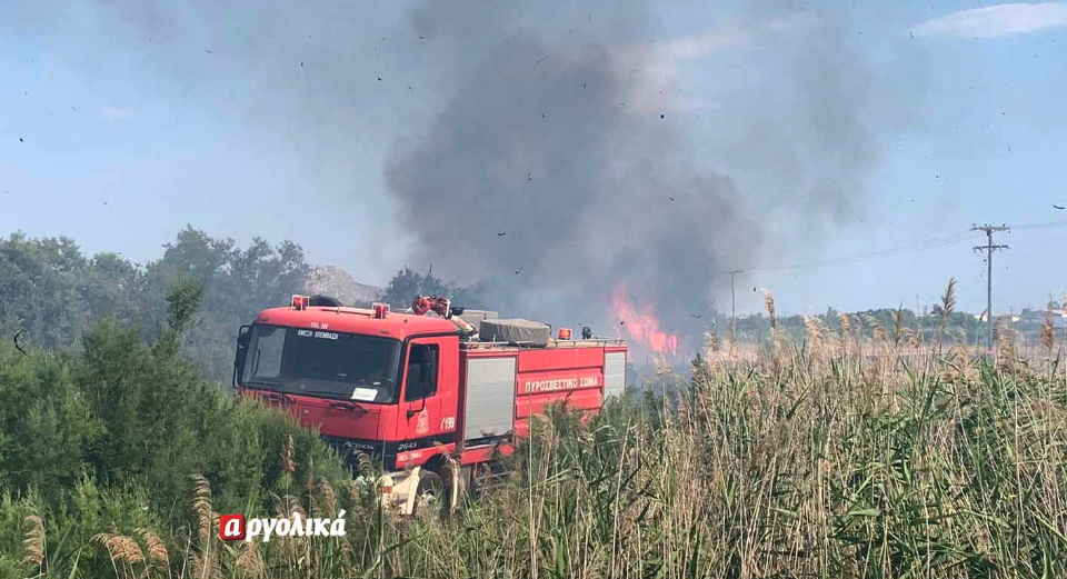 Πυρκαγιά σε έκταση με καλαμιές στην Νέα Κίος στην Αργολίδα (Φωτό)