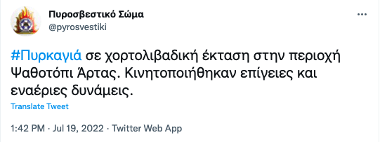 Πυρκαγιά σε χορτολιβαδική έκταση στην περιοχή Ψαθοτόπι Άρτας