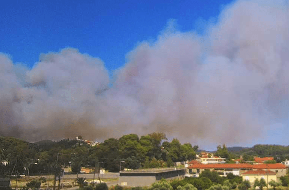 Μεγάλη πυρκαγιά σε δασική έκταση στα Μακρίσια Ηλείας (Φωτό)