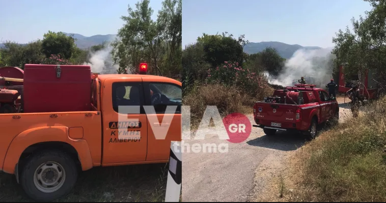 Προσαγωγή υπόπτου για τον εμπρησμό στο Αλιβέρι της Εύβοιας