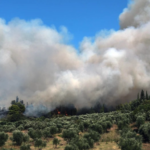 Πυρκαγιά σε χαμηλή βλάστηση στο Πυθαγόρειο στη Σάμο