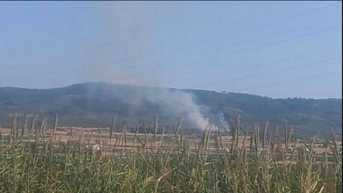 Πυρκαγιά σε γεωργική έκταση στα Βάγια Βοιωτίας (Φωτό)