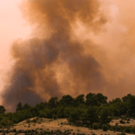 Πυρκαγιά σε αγροτοδασική έκταση στην περιοχή Σέκουλας Ηλείας